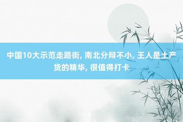 中国10大示范走路街, 南北分辩不小, 王人是土产货的精华, 很值得打卡