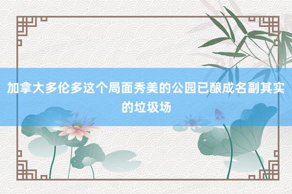加拿大多伦多这个局面秀美的公园已酿成名副其实的垃圾场